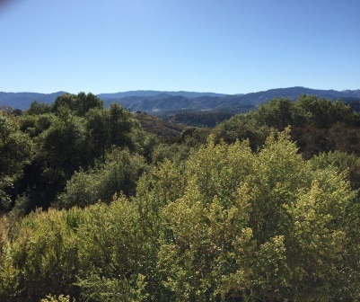 View west from back side.JPG